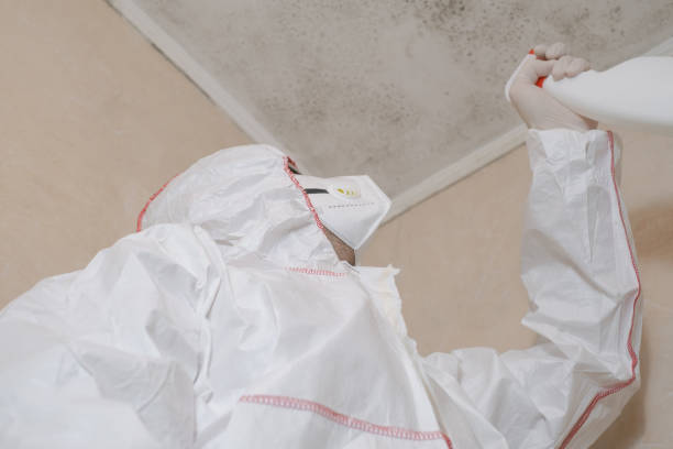 Best Emergency Mold Remediation  in Stanfield, OR